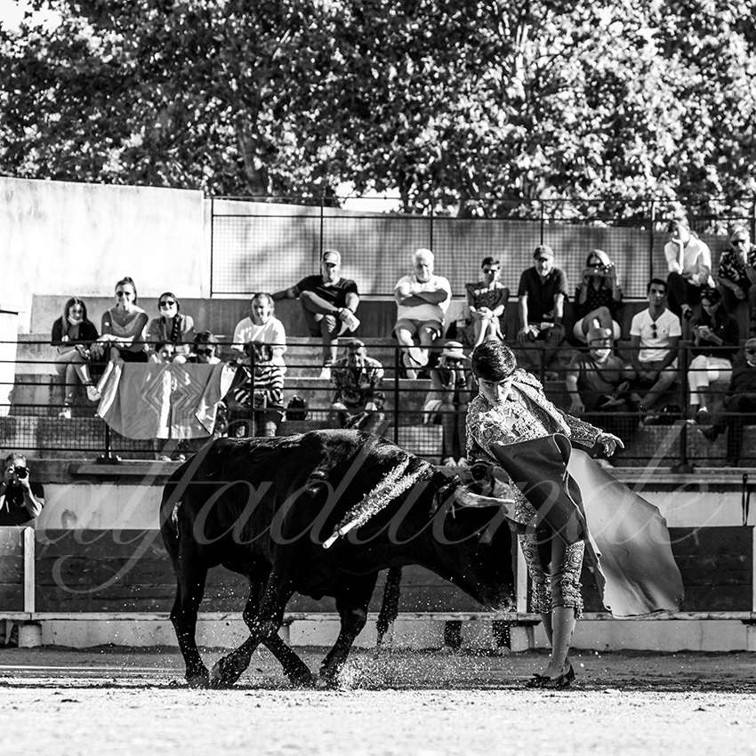 Bellegardes 20210828 alfaduende 002 fd