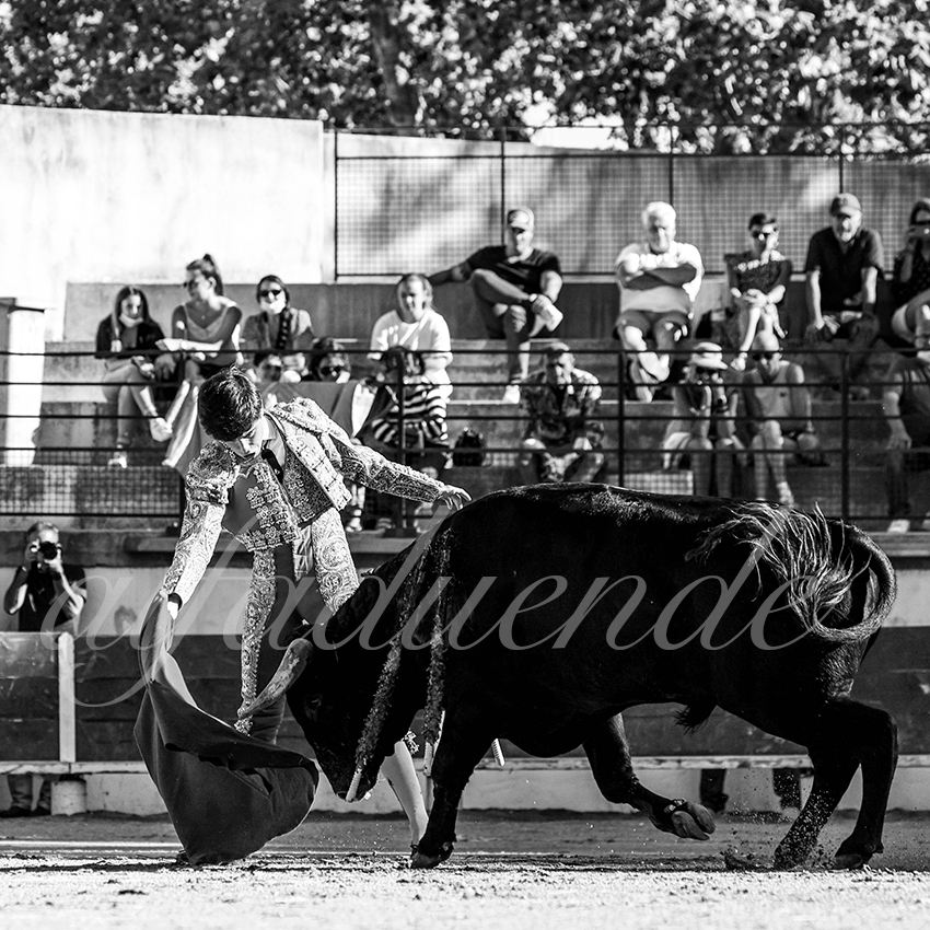 Bellegardes 20210828 alfaduende 003 fd