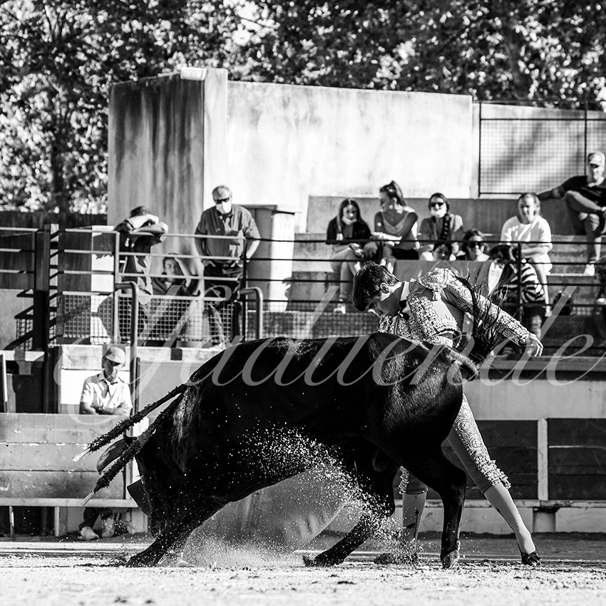 Bellegardes 20210828 alfaduende 004 fd