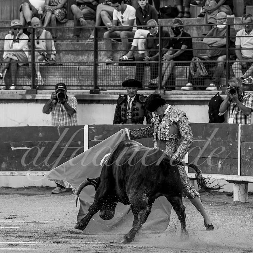 Bellegardes 20210828 alfaduende 007 fd