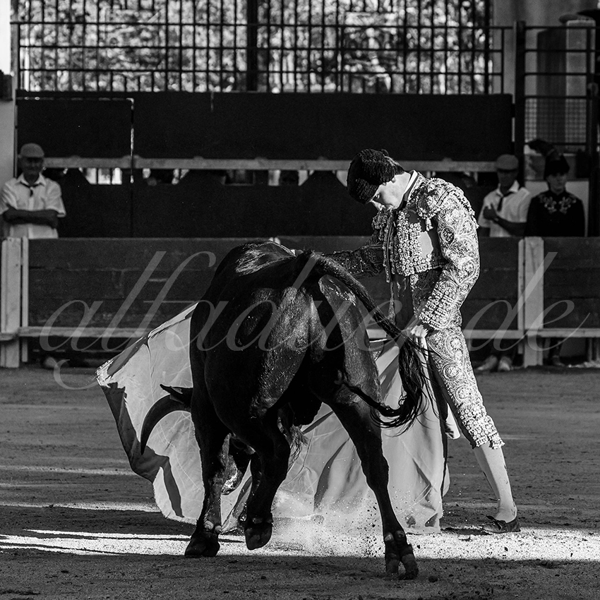 Bellegardes 20210828 alfaduende 008 fd