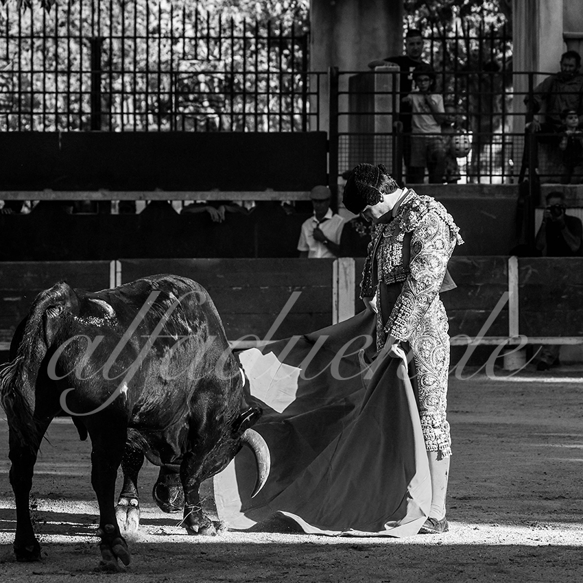 Bellegardes 20210828 alfaduende 009 fd