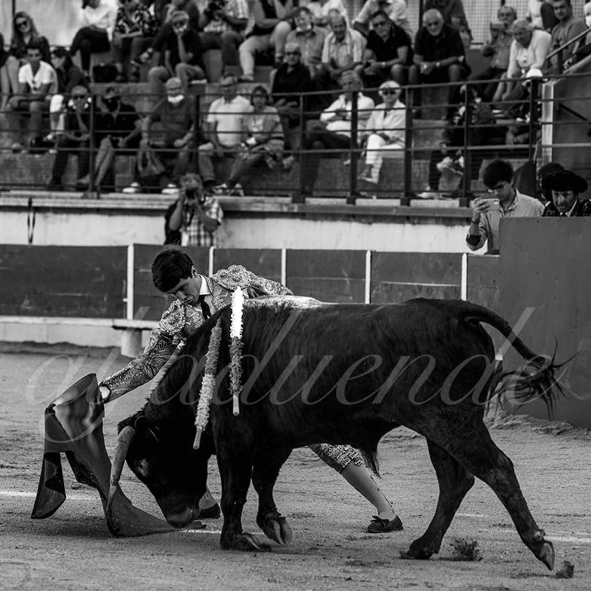 Bellegardes 20210828 alfaduende 010 fd