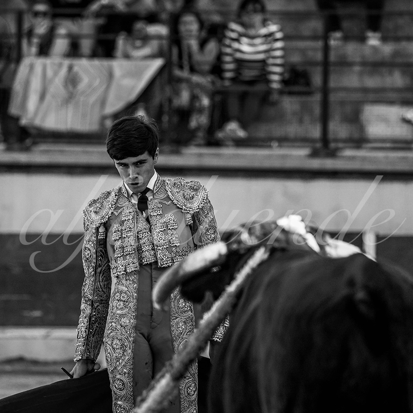 Bellegardes 20210828 alfaduende 011 fd