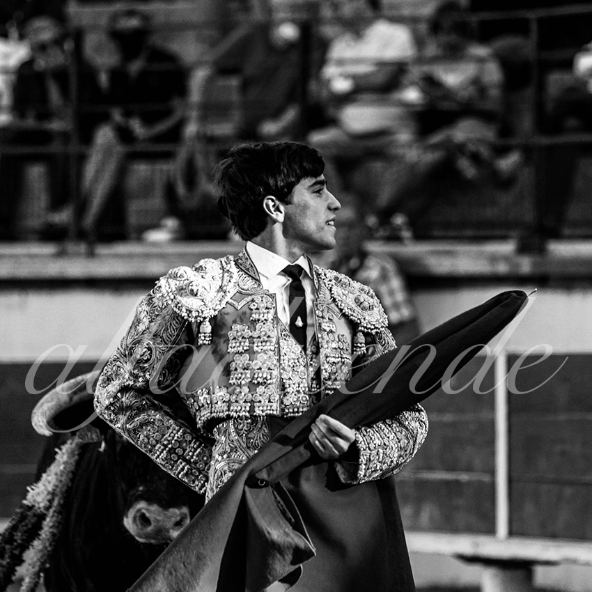 Bellegardes 20210828 alfaduende 012 fd