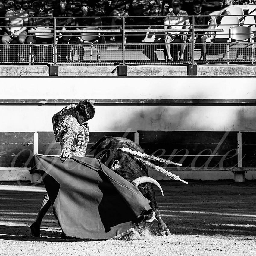 Bellegardes 20210828 alfaduende 014 fd