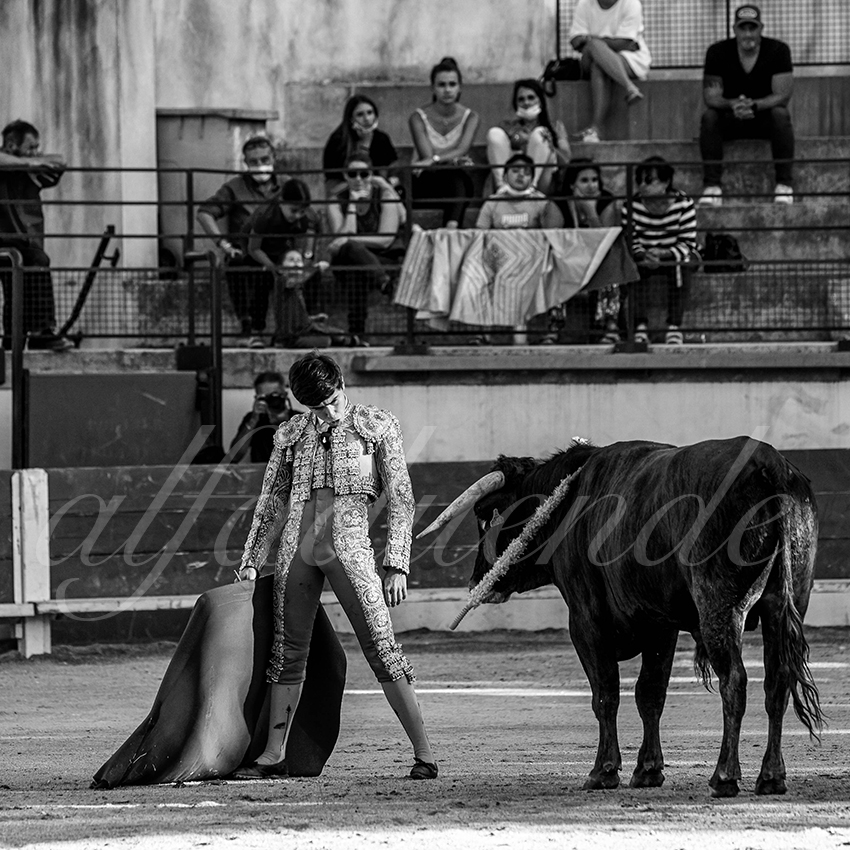 Bellegardes 20210828 alfaduende 015 fd