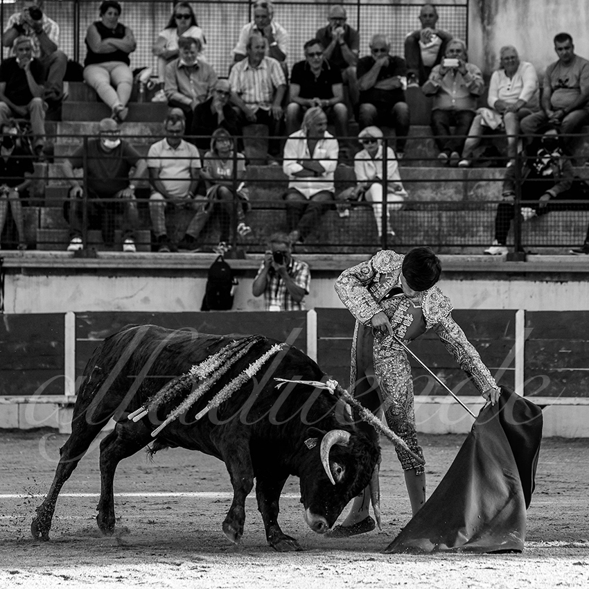 Bellegardes 20210828 alfaduende 016 fd