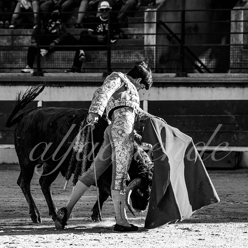 Bellegardes 20210828 alfaduende 017 fd