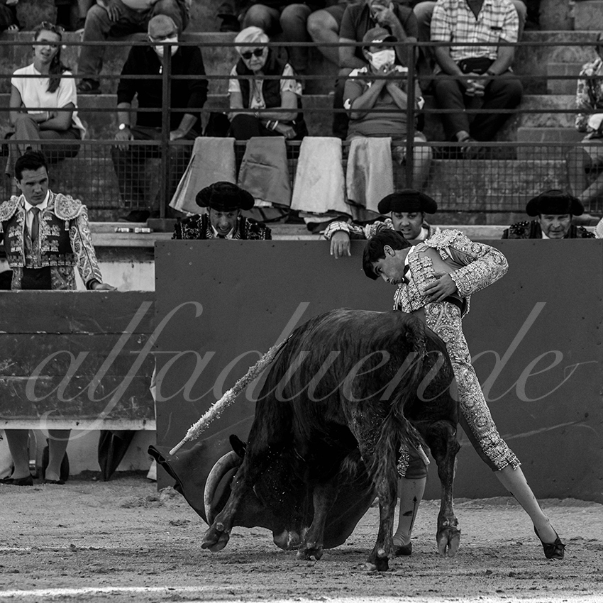 Bellegardes 20210828 alfaduende 018 fd