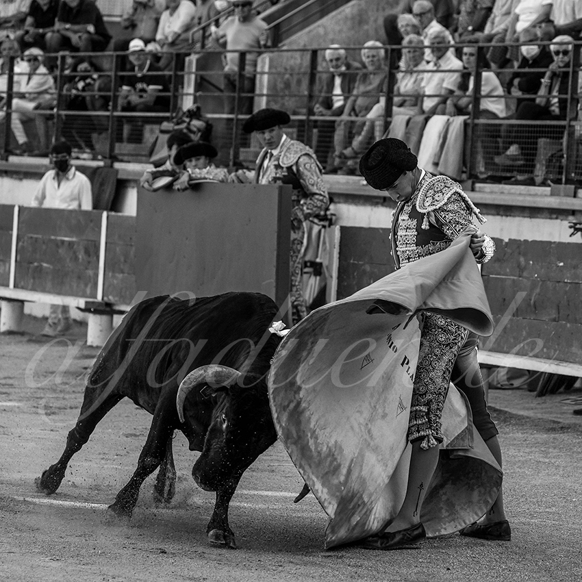 Bellegardes 20210828 alfaduende 019 fd