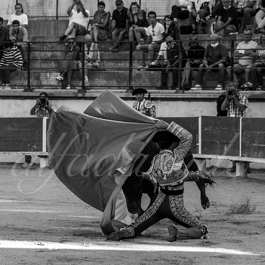 Bellegardes 20210828 alfaduende 020 fd