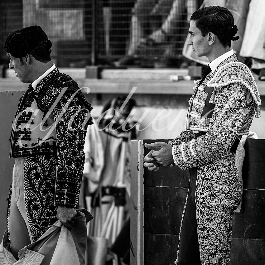 Bellegardes 20210828 alfaduende 021 fd