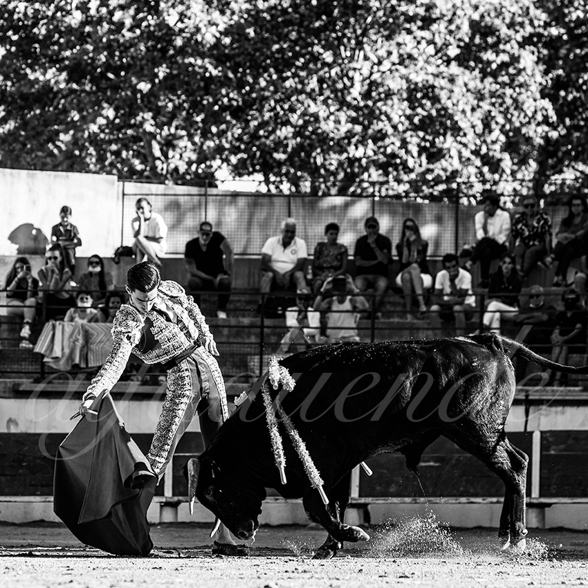 Bellegardes 20210828 alfaduende 022 fd