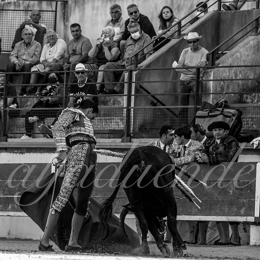 Bellegardes 20210828 alfaduende 023 fd