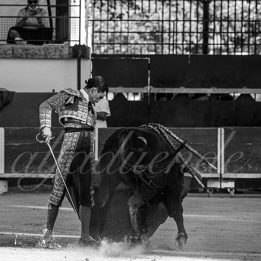 Bellegardes 20210828 alfaduende 024 fd