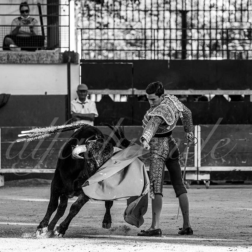 Bellegardes 20210828 alfaduende 025 fd