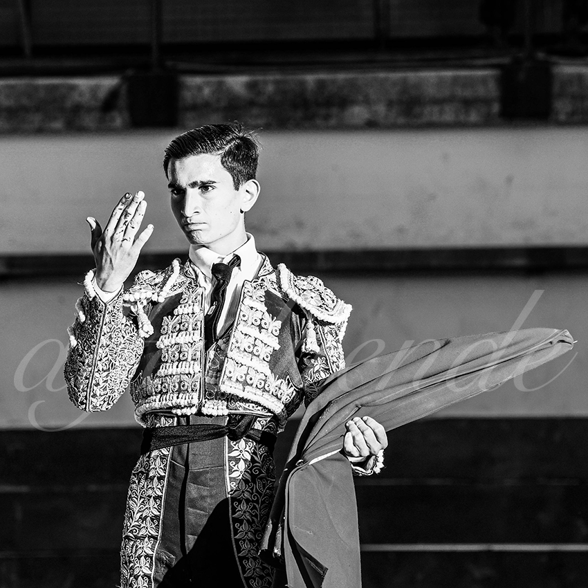 Bellegardes 20210828 alfaduende 026 fd