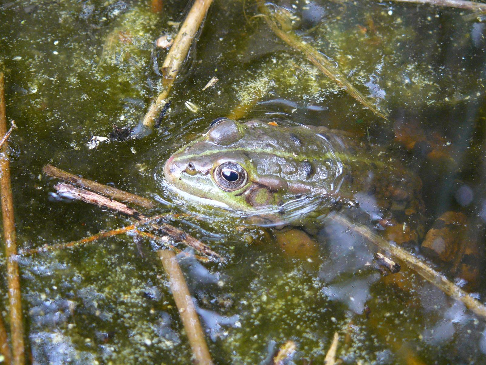 P1030256