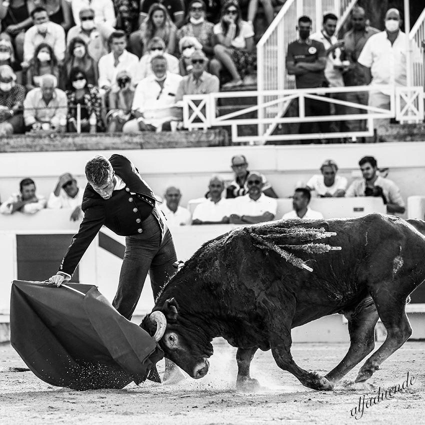 20200816 beziers 010