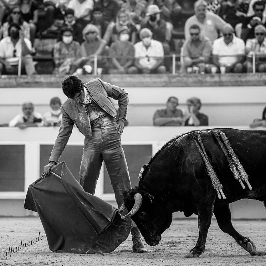 20200816 beziers 011