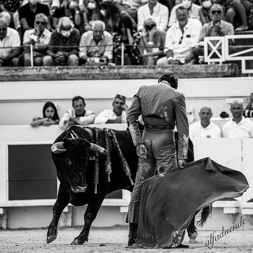 20200816 beziers 013