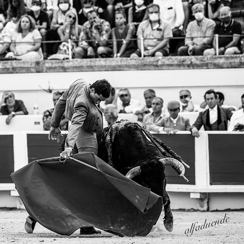 20200816 beziers 015