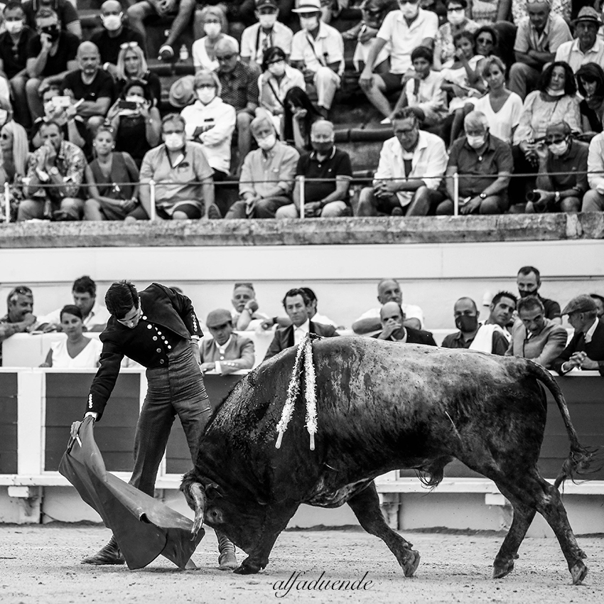 20200816 beziers 016