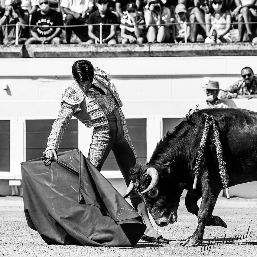 20200816 beziers matin 006 copie