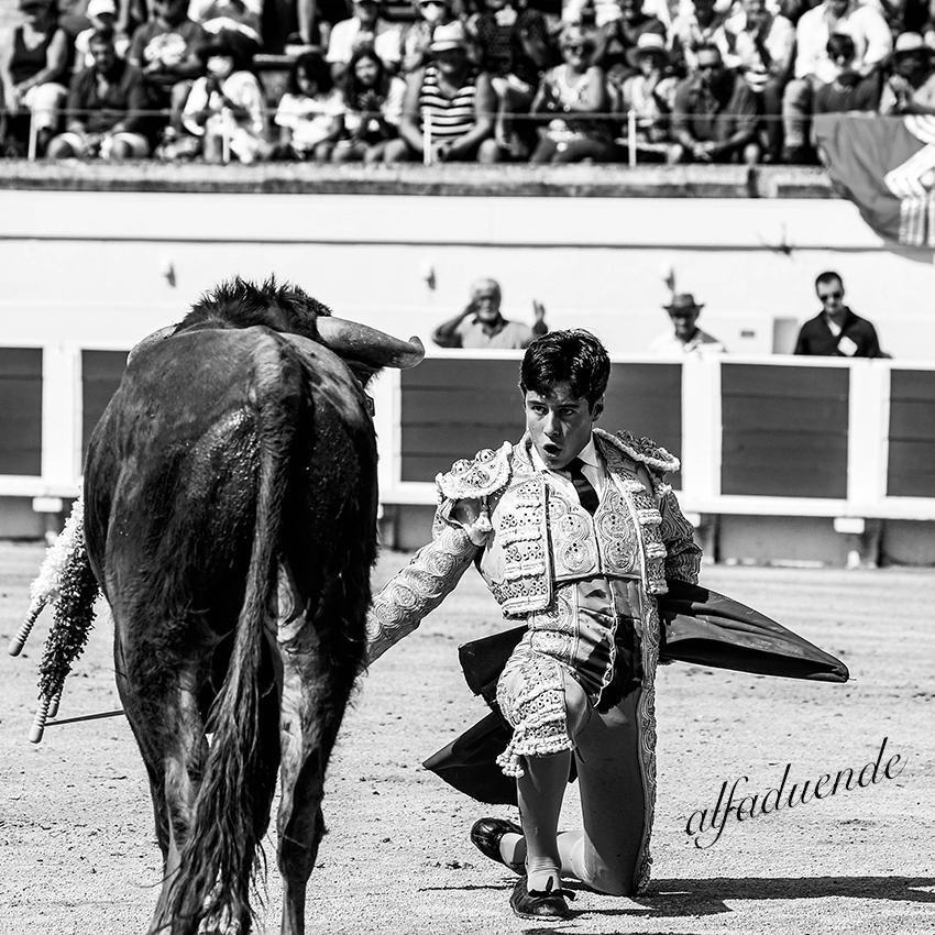 20200816 beziers matin 007 copie