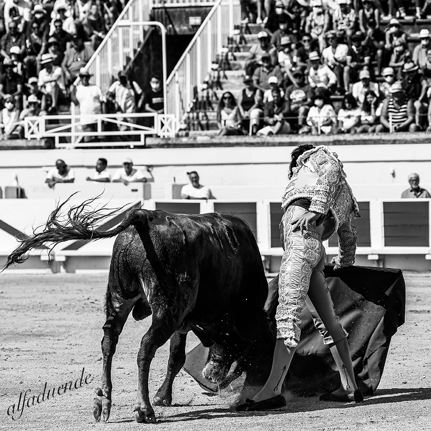 20200816 beziers matin 008 copie