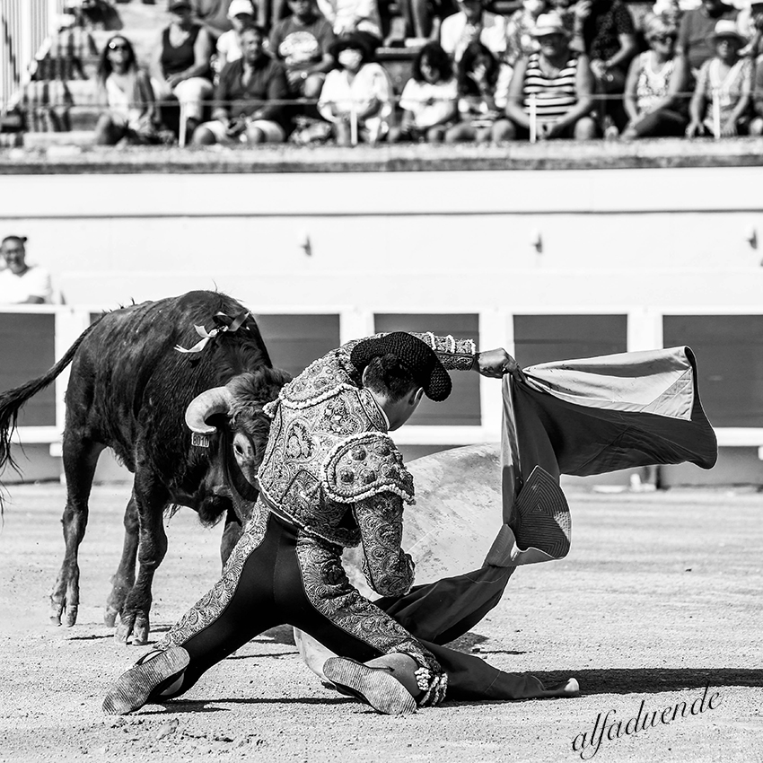 20200816 beziers matin 009 copie