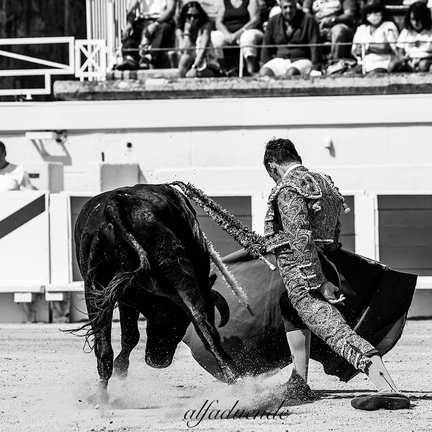 20200816 beziers matin 010 copie