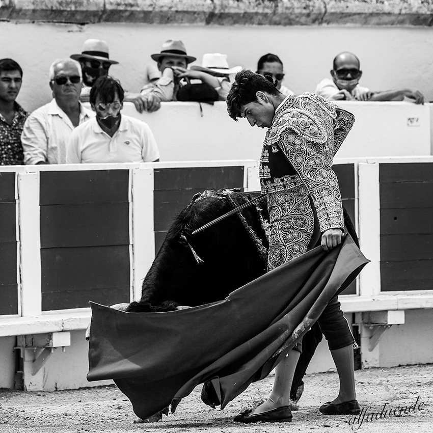 20200816 beziers matin 012 copie