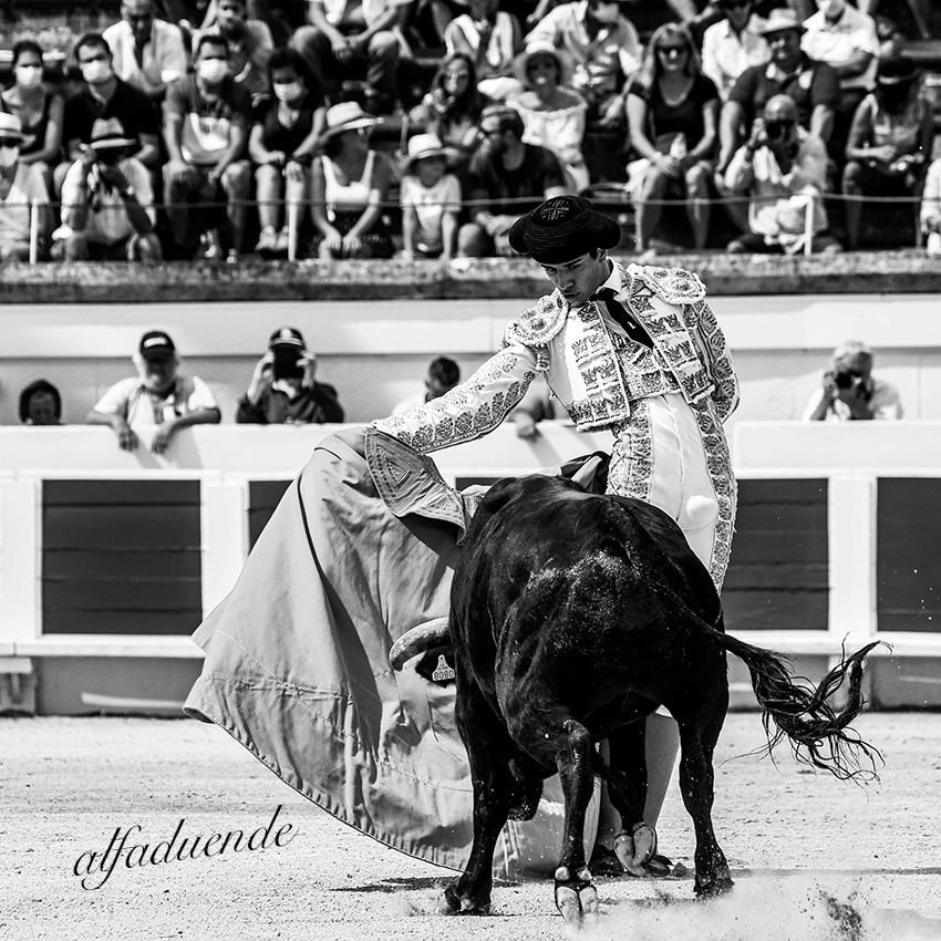 20200816 beziers matin 013 copie