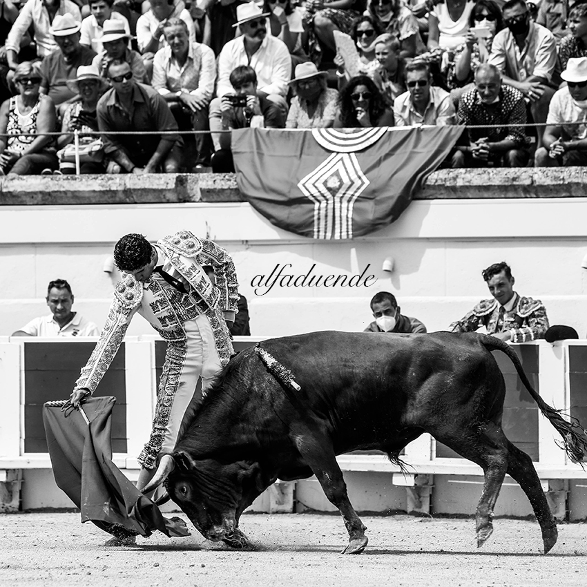 20200816 beziers matin 014 copie