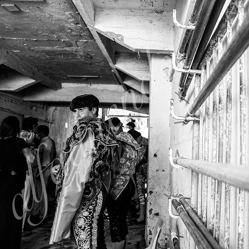 20210814 beziers alfaduende 001 fd