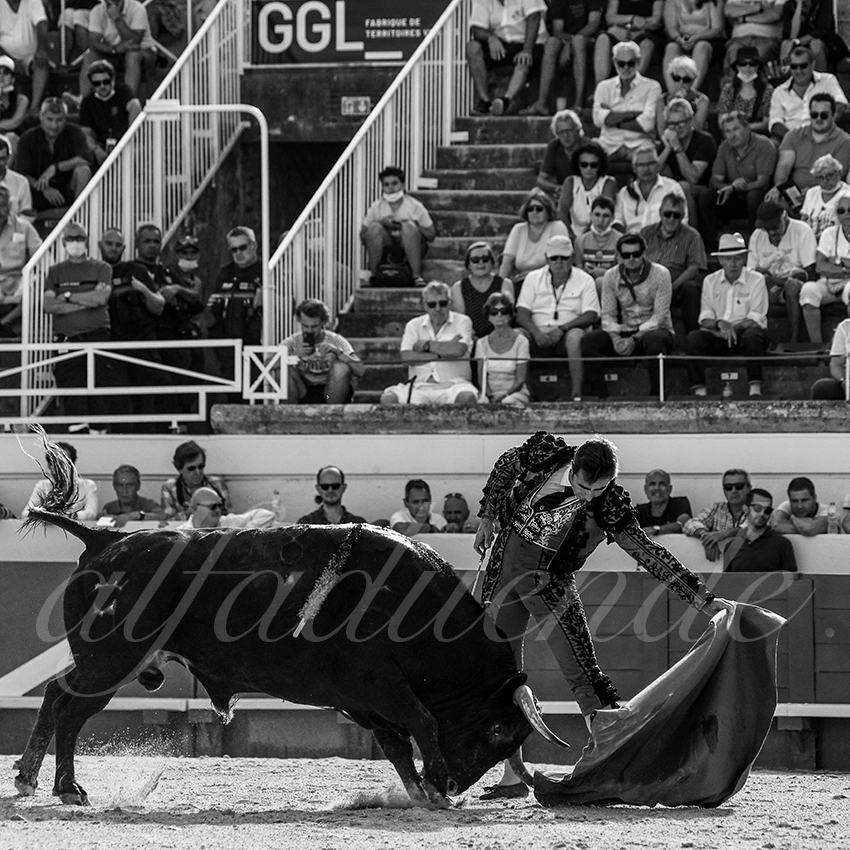 20210814 beziers alfaduende 003 fd