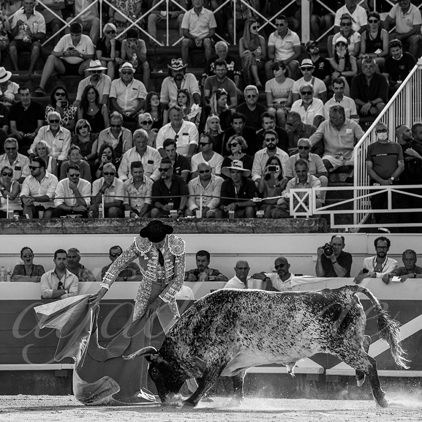 20210814 beziers alfaduende 005 fd