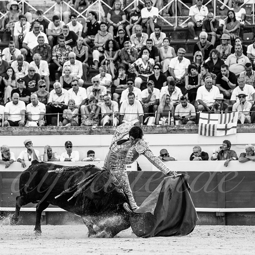 20210814 beziers alfaduende 007 fd