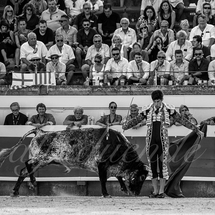 20210814 beziers alfaduende 009 fd