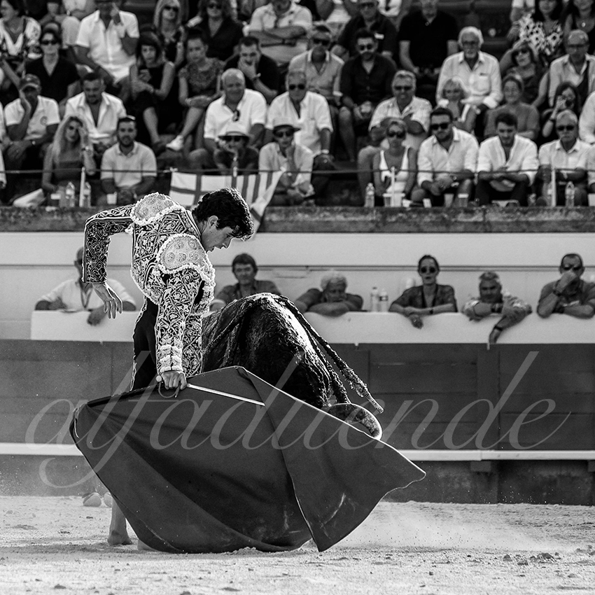 20210814 beziers alfaduende 011 fd