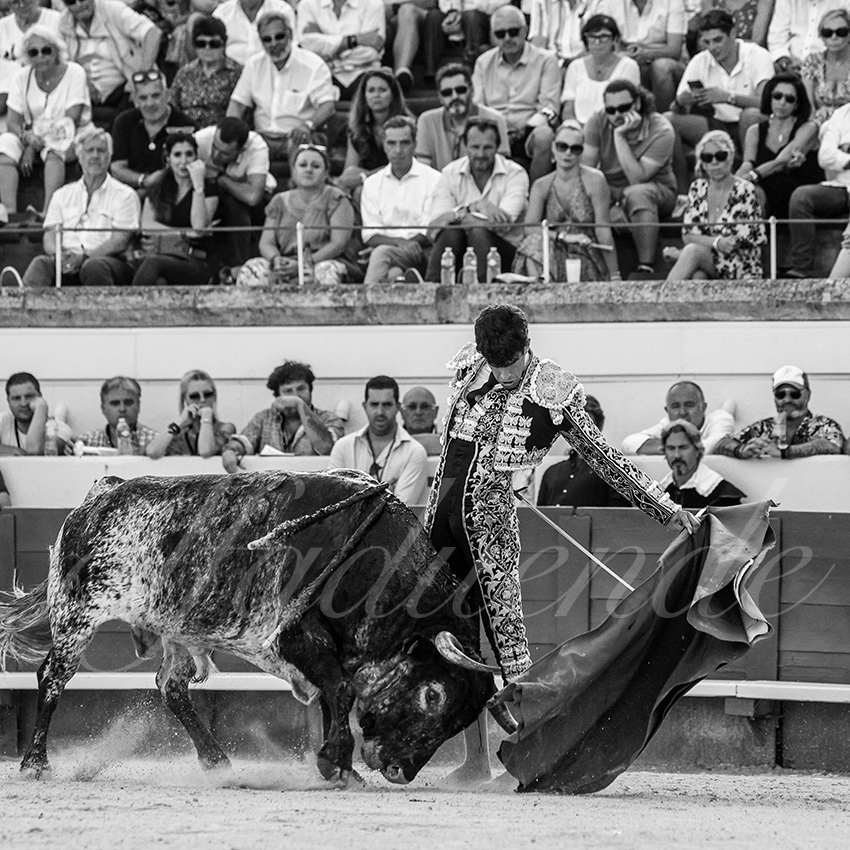 20210814 beziers alfaduende 015 fd