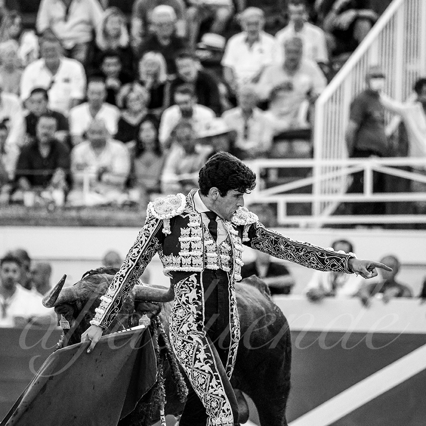 20210814 beziers alfaduende 016 fd