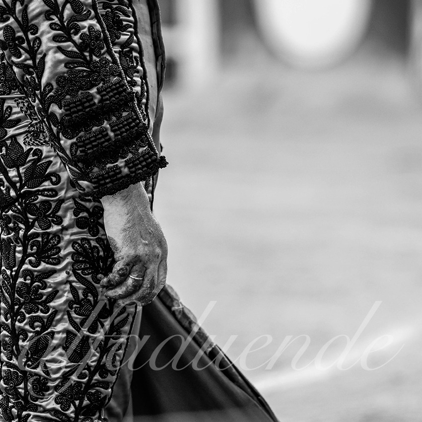 20210814 beziers alfaduende 017 fd