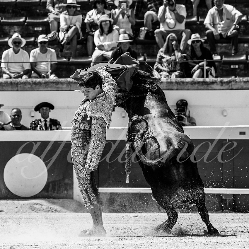 20210814 novillada beziers alfaduende 015 fd