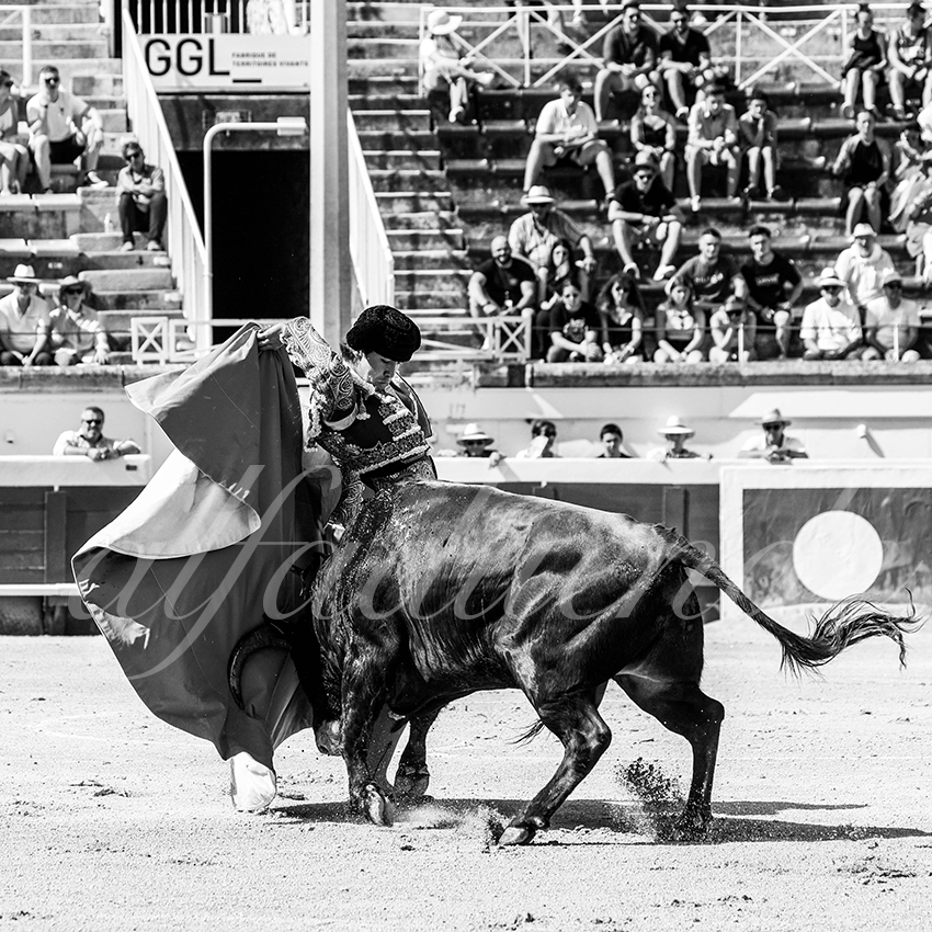 20210814 novillada beziers alfaduende 007 fd