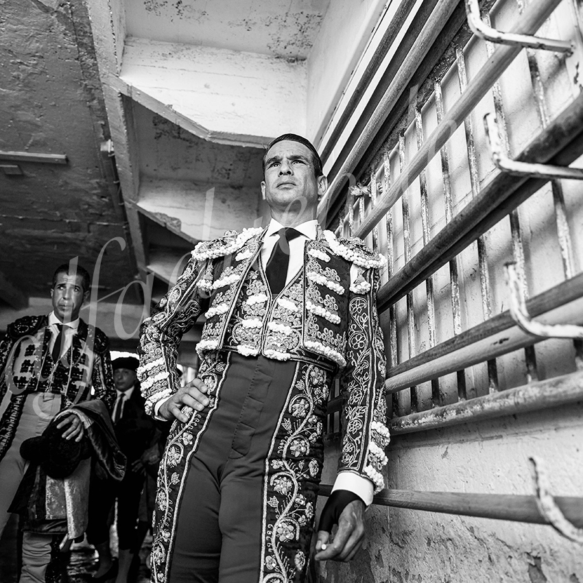 20210815 beziers alfaduende 001 fd