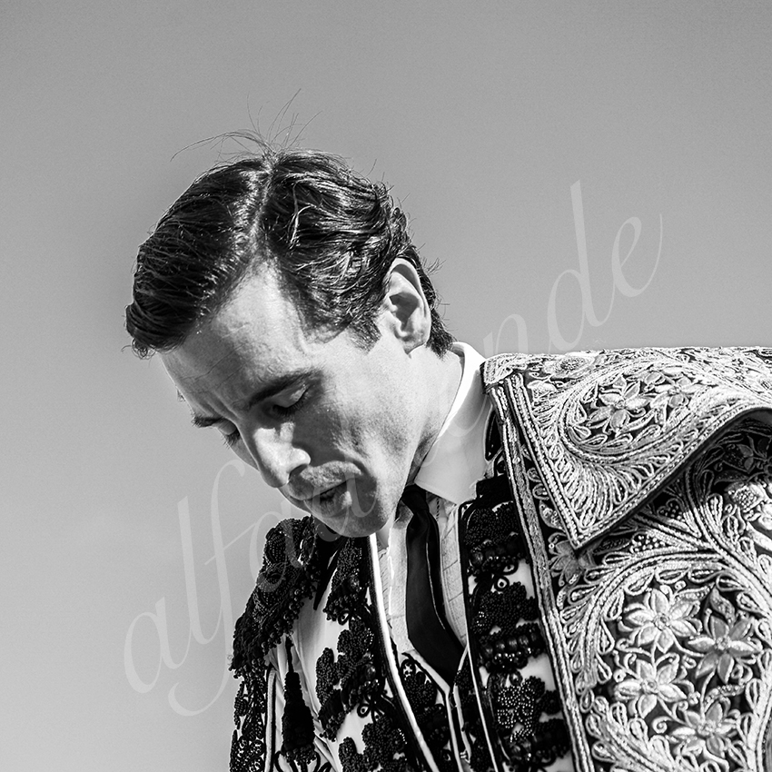 20210815 beziers alfaduende 003 fd