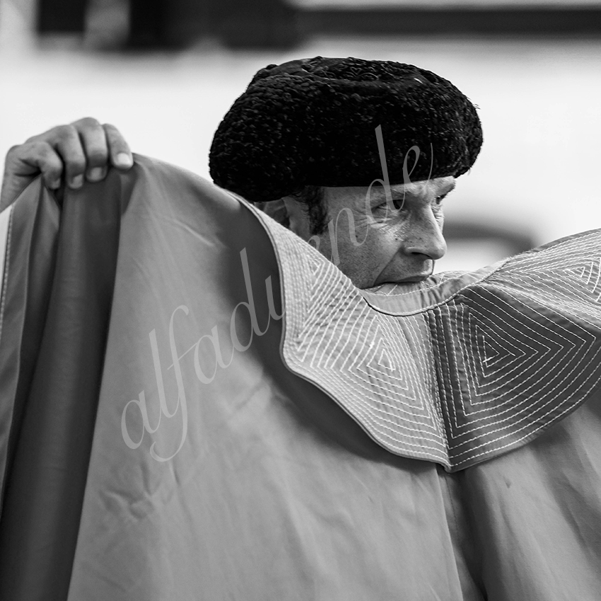 20210815 beziers alfaduende 006 fd